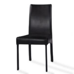 Modern Elegance Dining Chair